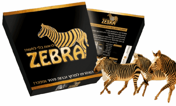 משחק קלפים ZEBRA  זברה