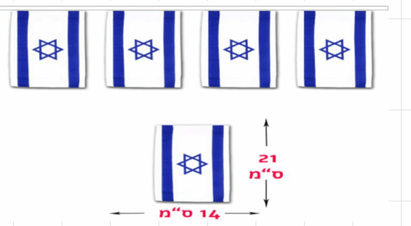 שרשת דגלים ישראל 14*21